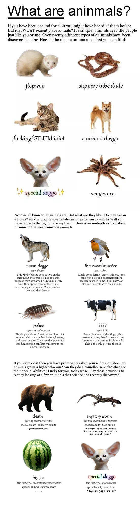 animals.jpg animals.jpg