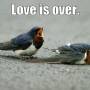 love_is_over_.jpeg