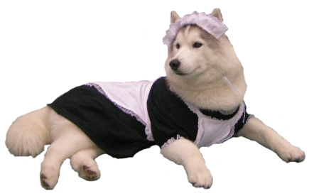 maiddog.png